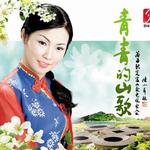 青青的山歌