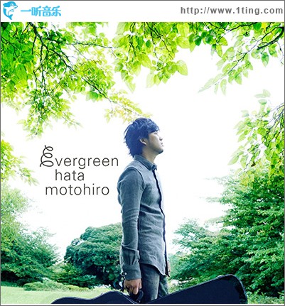 evergreen