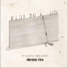 Damien Rice I Don't Want to Change You 试听