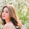 柳岩 情路透春光(冬日淡伤版) 试听