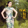 倾城琵琶(单曲)