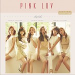 Mini Album Vol. 5 - Pink LUV详情