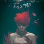 我来自梦详情