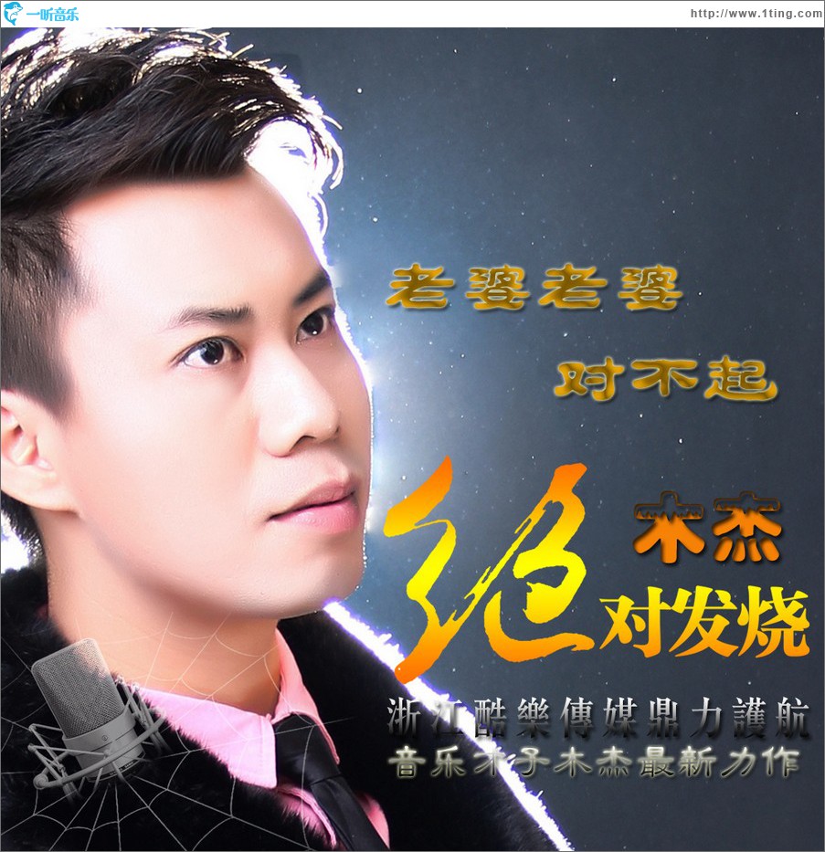 老婆老婆对不起 (单曲)