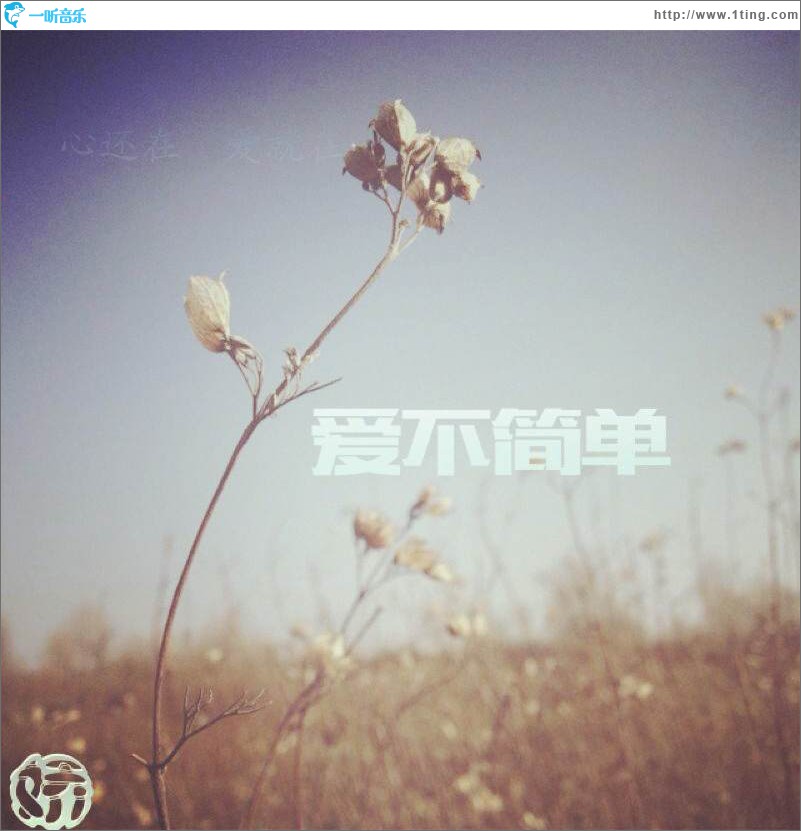 爱不简单 (单曲)
