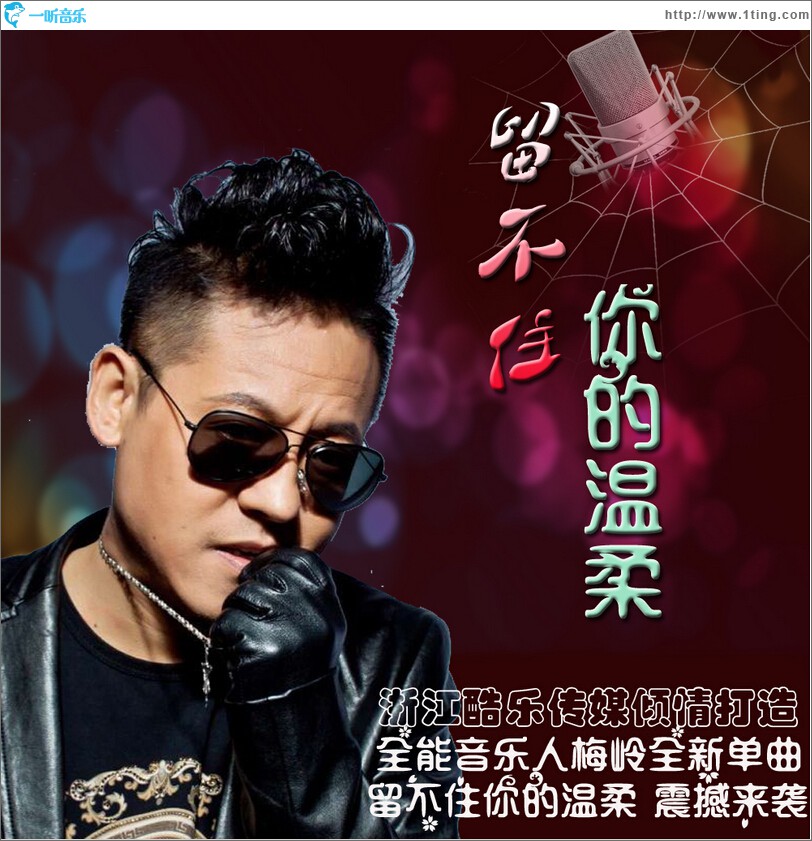 留不住你的温柔 (单曲)