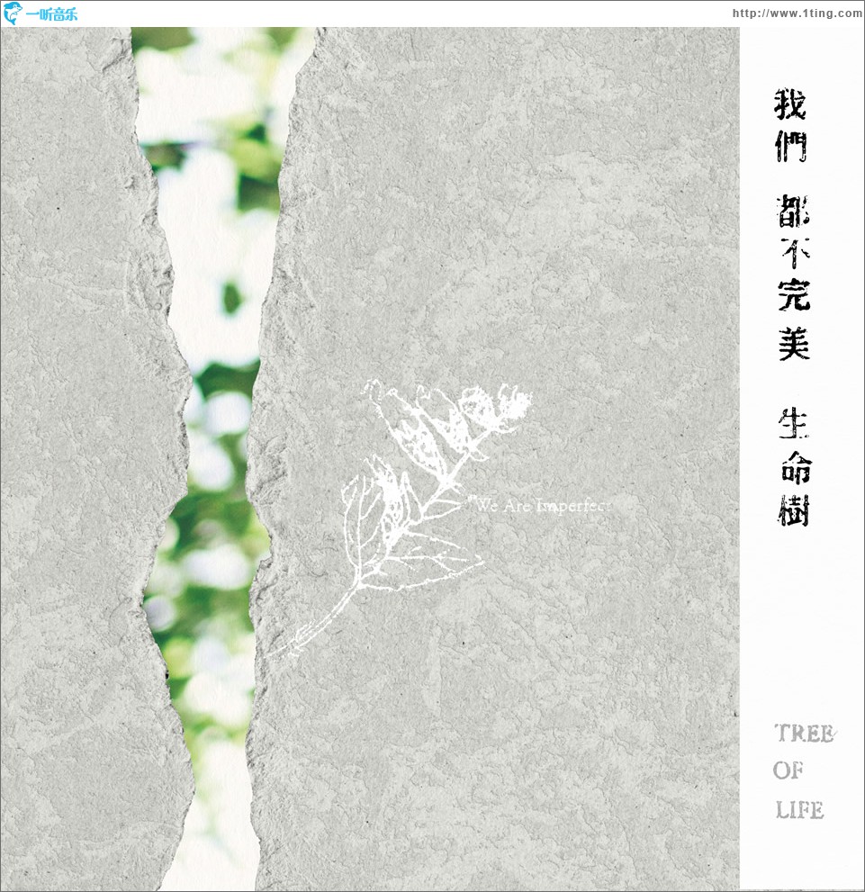 我们都不完美