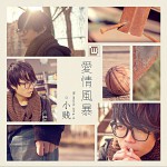 爱情风暴 (单曲)