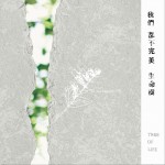 我们都不完美试听