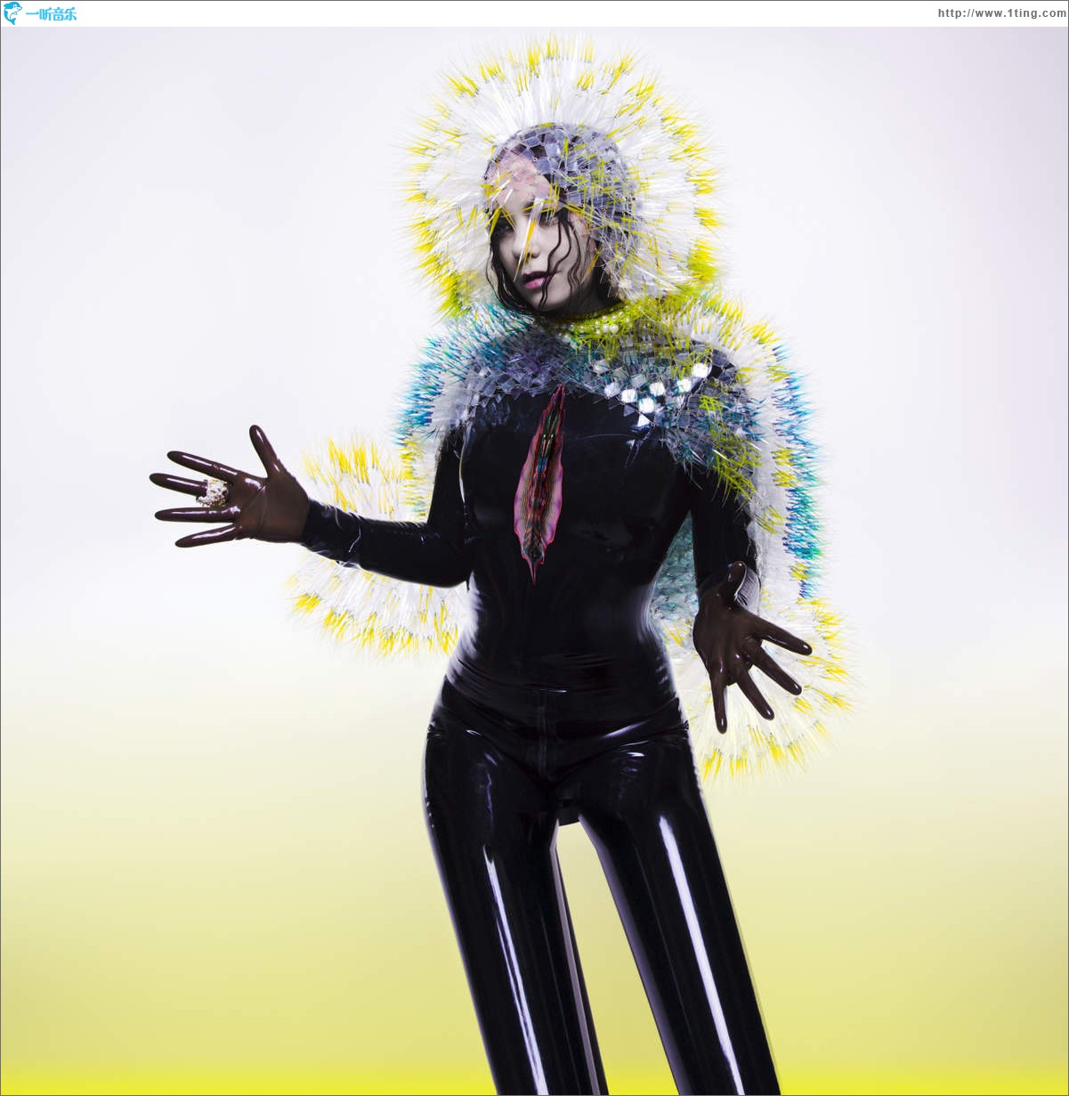 Vulnicura