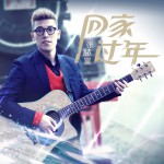 回家过年 (单曲)详情