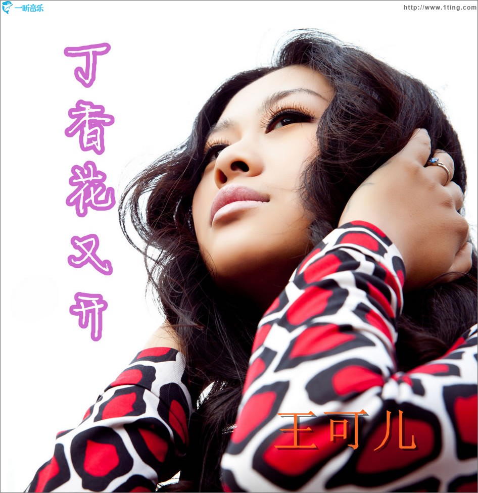 丁香花又开 (单曲)