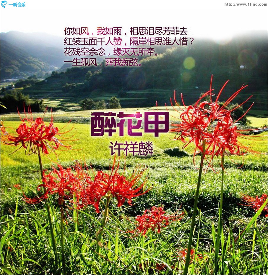 醉花甲 (单曲)