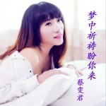 梦中祈祷盼你来 (单曲)详情