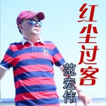 红尘过客 (单曲)详情
