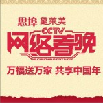 2015央视网络春节晚会