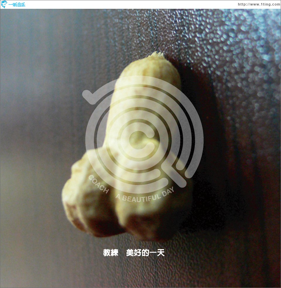 美好的一天
