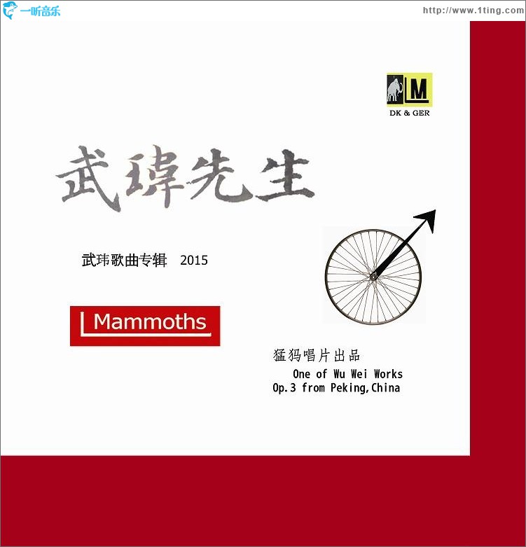 武玮先生