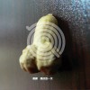 教练乐队 美好的一天 试听
