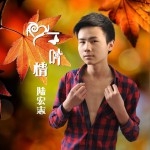 一叶情 (单曲)详情