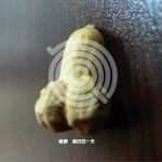 美好的一天详情