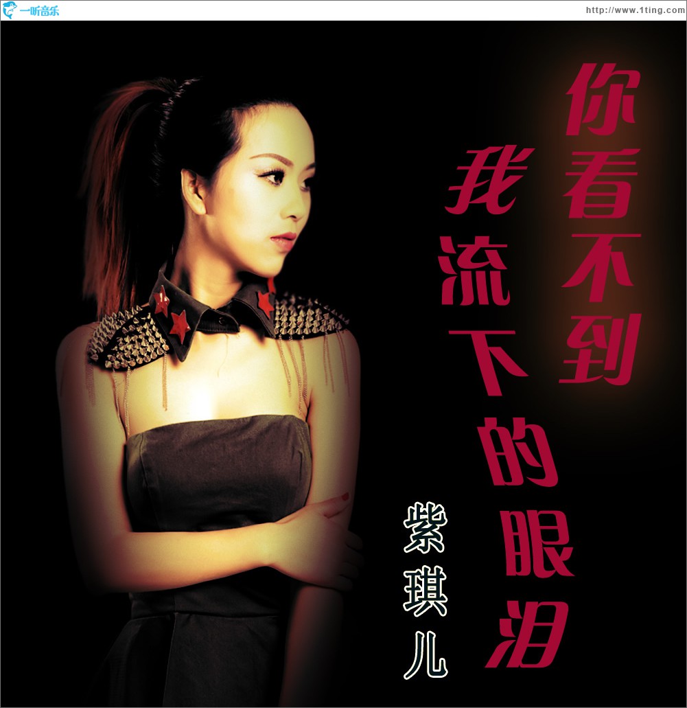 你看不到我流下的眼泪 (单曲)
