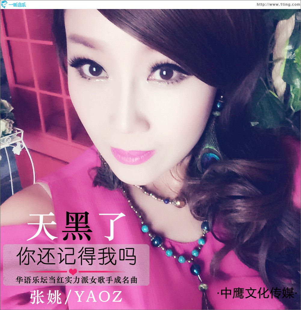 天黑了你还记得我吗 (单曲)