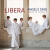 Libera Wayfaring Stranger (Live) 试听