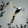 廖智敏 久违的心 试听