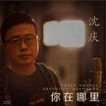 你在哪里 (单曲)详情