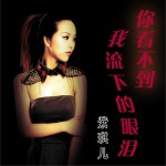 你看不到我流下的眼泪 (单曲)详情
