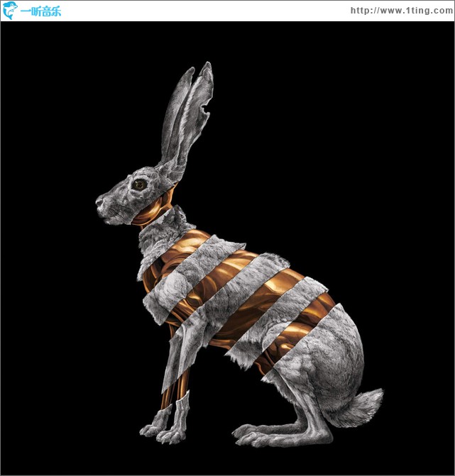 Jackrabbit