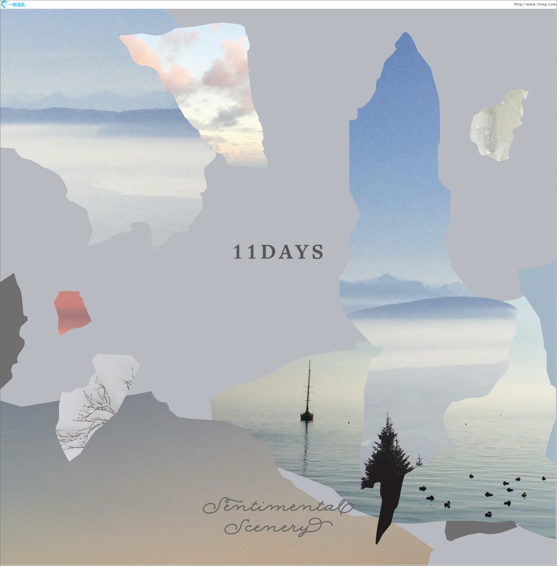 11 DAYS