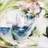 日本群星 人生のﾒﾘｰｺﾞｰﾗﾝﾄﾞ(Q's Astrolabe ReMix) 试听