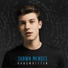 Shawn Mendes Life of the Party 试听