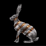 Jackrabbit详情