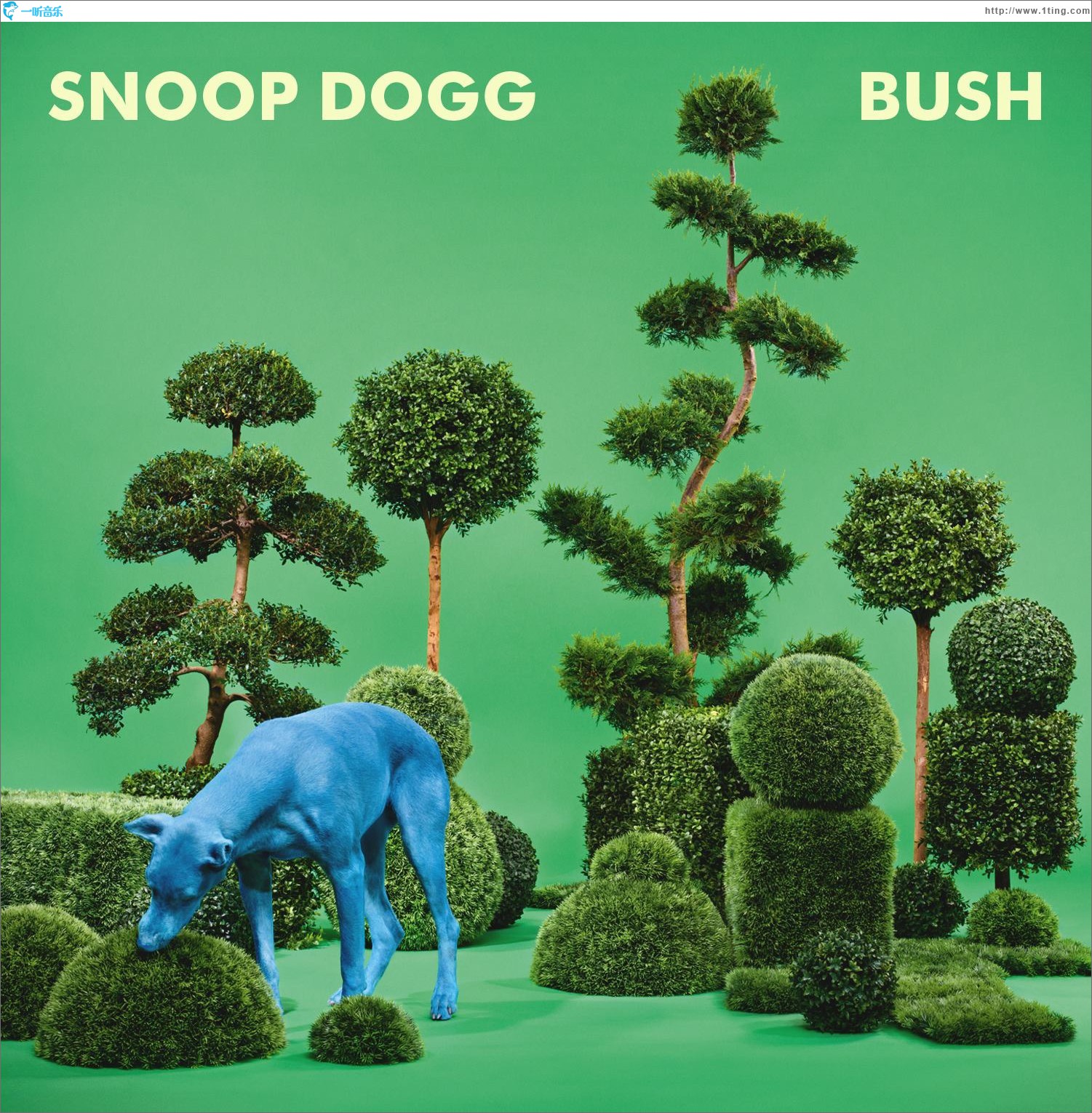 Bush