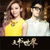 张靓颖 天书世界 - 张靓颖&王铮亮 试听
