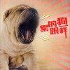 龙奔 累的跟狗一样 试听