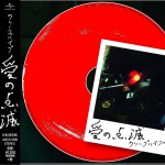 愛の点滅详情