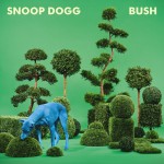Bush详情