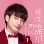 等你说 I Love You (单曲)详情