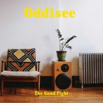 The Good Fight详情