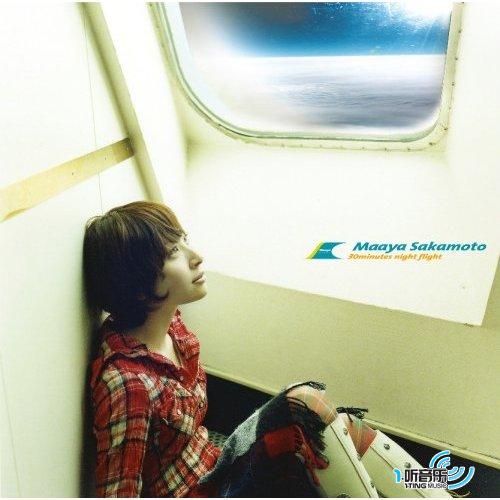 30minutes night flight