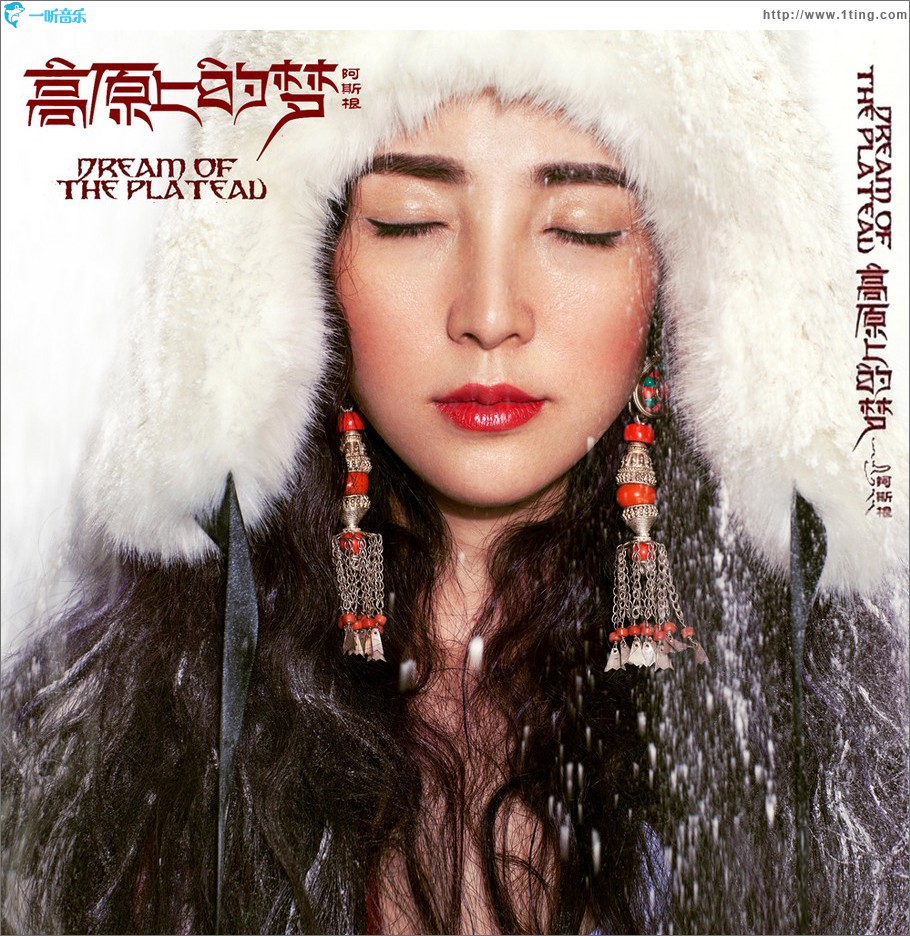高原上的梦