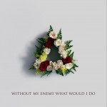 Without My Enemy What Would I Do详情