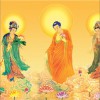 密咒真言 往生咒(比丘) 试听