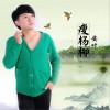 安叶 瘦杨柳 试听