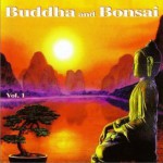 Buddha and Bonsai 佛菩萨
