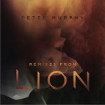 Remixes From Lion详情